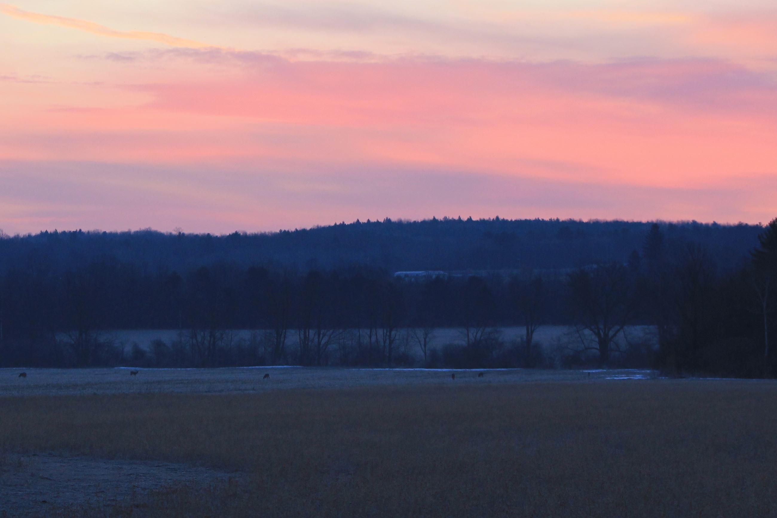 Taken by Karen Stegner